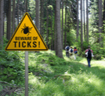 מחלת ליים: כל מה שחשוב לדעת-תמונה